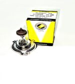 Ampolleta H4 12V 60/55W P43 – Luz Alta y Baja Automotriz