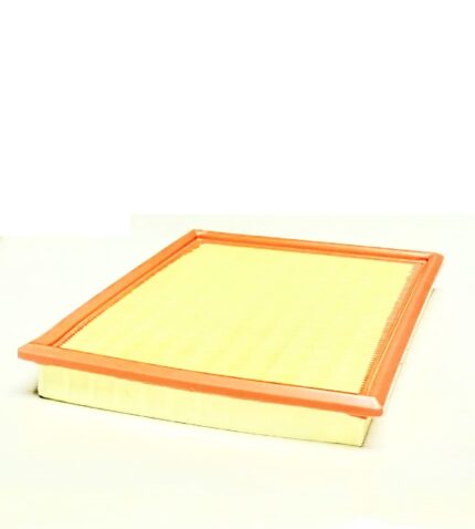 Filtro de Aire Fiat Palio y Modelos Compatibles | C2585