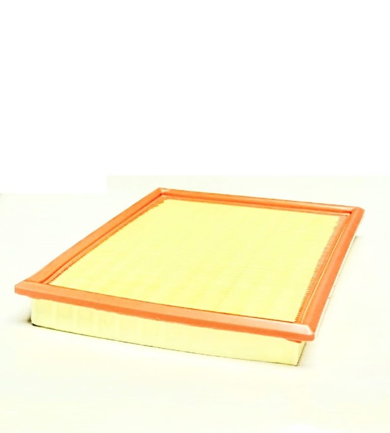 Filtro de Aire Fiat Palio y Modelos Compatibles | C2585