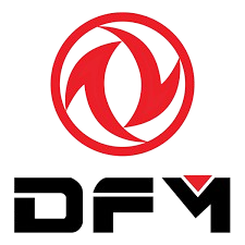 logo dfm